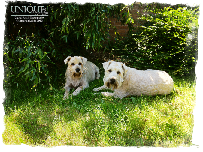 leo & Lissie UniqueSoChic.com